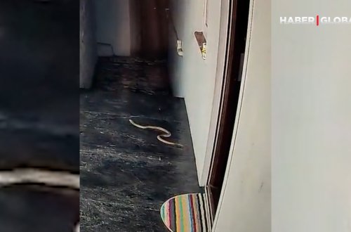 Balaca qız evinin qapısındakı ilandan belə xilas oldu - VİDEO