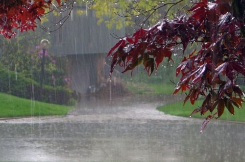 Haitidə güclü yağışlar 15 nəfərin ölümünə səbəb olub