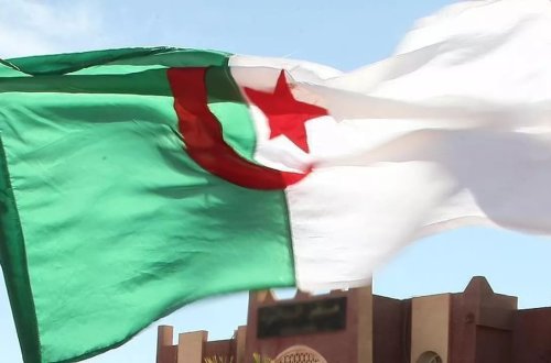 Əlcəzair Londonda satışa çıxarılan 7 Osmanlı tüfəngini geri alıb