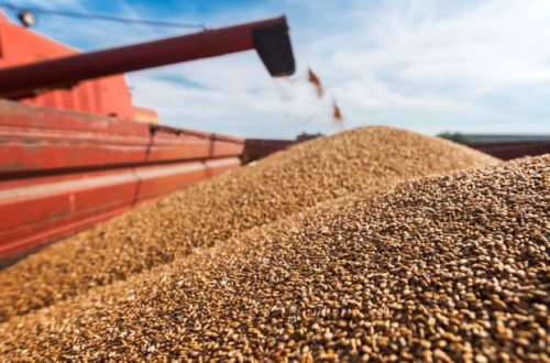 XİN başçısının müavini: “Rusiya Taxıl sazişinin uzadılması üçün heç bir perspektiv görmür”