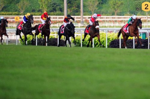 Sinqapurda 180 illik tarixi olan at yarışları başa çatır