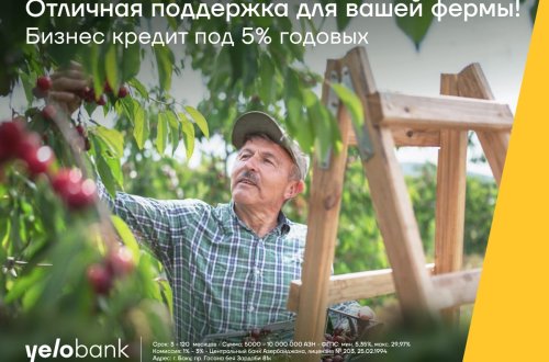 Бизнес кредиты от Yelo Bank под 5% годовых
