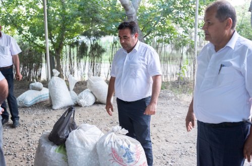 Tədarük məntəqələrinə 119 tondan çox yaş barama təhvil verilib