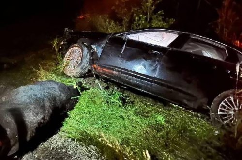 Türkiyəli deputat oğlu ilə avtomobil qəzasına düşdü