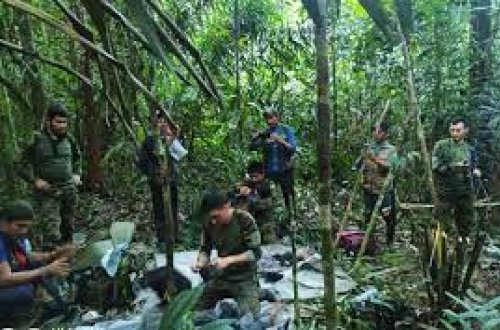 Kolumbiyada qəzaya uğramış təyyarədəki uşaqlar 40 gün sonra sağ tapılıblar