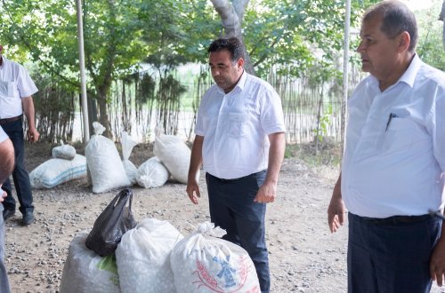 Tədarük məntəqələrinə 290 ton yaş barama təhvil verilib