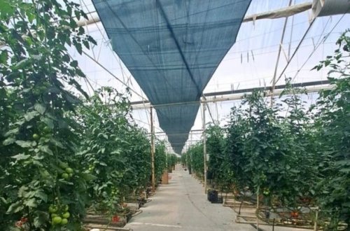 Bakıda istixanada nöqsanlar aşkarlanıb - FOTO