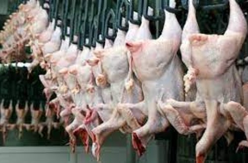 Azərbaycan bəzi ərazilərdən quş əti idxalına məhdudiyyət qoyub