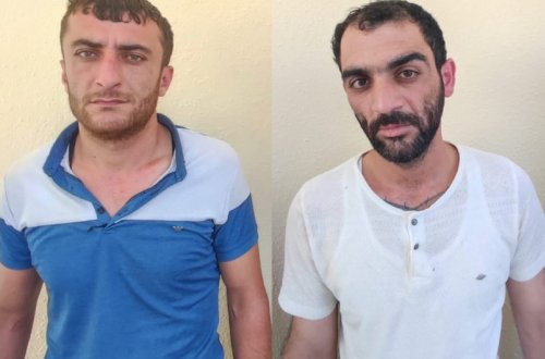 Lerikdə külli miqdarda müxtəlif növ nakotik vasitələr aşkarlanıb