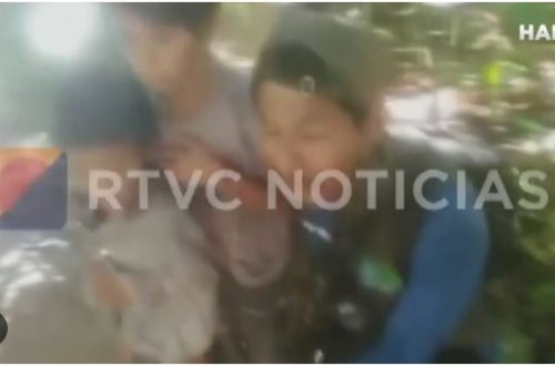 Film kimi olay: 40 gün cəngəllikdə qalan şəxslər möcüzəvi şəkildə həyatda qaldılar