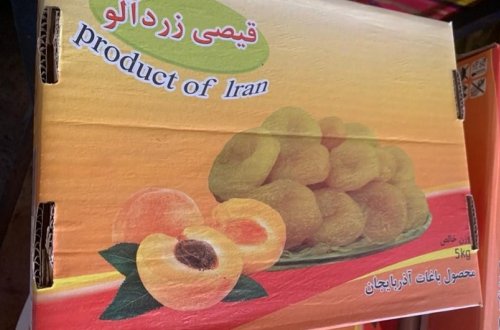 İrandan Azərbaycana gətirilən ərik qurusu istehlak üçün yararsız çıxıb - FOTO