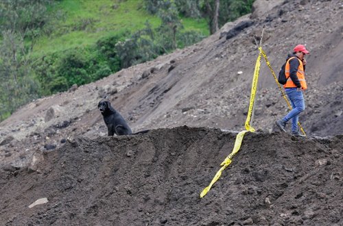 Ekvadorda torpaq sürüşməsi nəticəsində ölənlərin sayı 65-ə çatıb