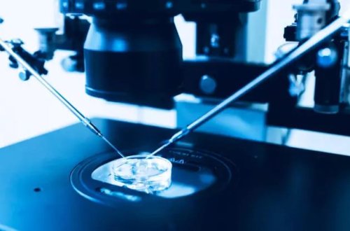 Kök hüceyrədən sintetik insan embrionu istehsal edilib