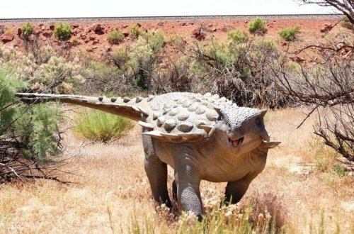 Britaniyada naməlum dinozavr növü tapıldı
