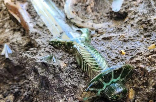 3000 il yaşı olan qılınc tapılıb