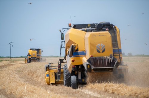 Taxıl  zəmilərinin 33 faizində biçin yekunlaşıb, sahələrdən 1 milyon tondan çox məhsul yığılıb