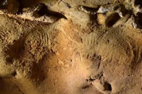 Fransada 57 min illik Neandertal qravüraları tapılıb