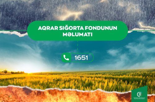 Aqrar Sığorta Fondu təsərrüfatlara dəymiş zərəri müəyyənləşdirir