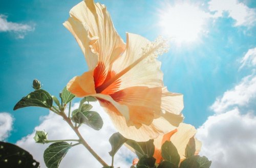 Sabah havanın temperaturu 37 dərəcəyədək artacaq