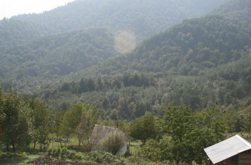 Lerikdə turist bədbəxt hadisə nəticəsində ölüb