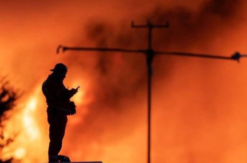 Meksikada meşə yanğını baş verib