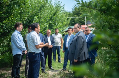 Nazir Məcnun Məmmədov İsmayıllıda taxıl biçini prosesində iştirak edib, təsərrüfatlara baş çəkib