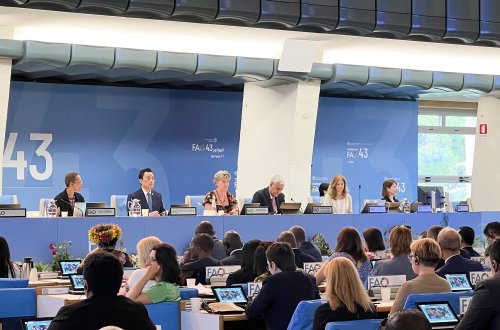 İtaliyada FAO-nun 43-cü sessiyası öz işinə başlayıb