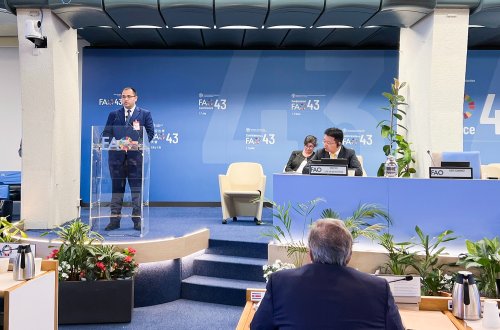 Nazir Məcnun Məmmədov FAO-nun 43-cü sessiyasında çıxış edib