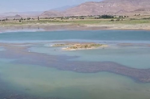 Sirab su anbarının içində taxıl əkilib (VİDEO)