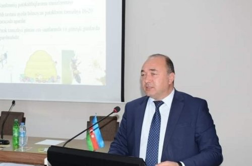 Naxçıvan Dövlət Universitetinə yeni prorektor təyin edilib