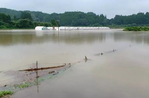 Yaponiyada torpaq sürüşməsi nəticəsində bir nəfər ölüb