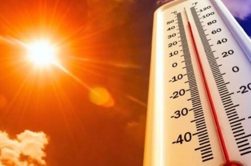 Avropada yüksək temperatur səbəbiylə ölənlərin sayı açıqlandı