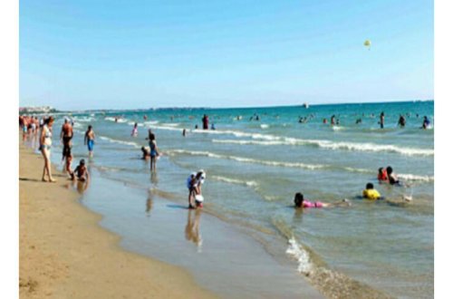 Çimərliyə giriş üçün pul istəyənləri külli miqdarda cərimə gözləyir - VİDEO