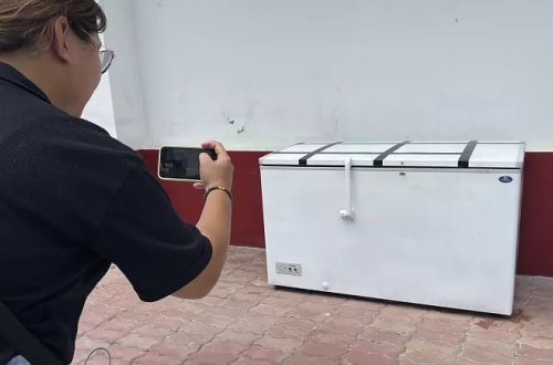 İtkin düşən alman iş adamının meyiti dondurucuda tapılıb