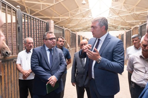 Nazir Məcnun Məmmədov Bərdə və Ağcabədidə təsərrüfatlara baş çəkib, fermerlərlə görüşüb