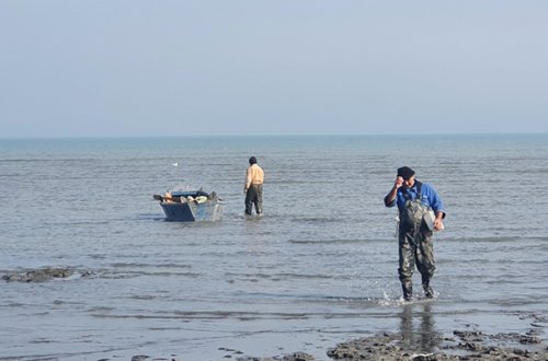 Qanunsuz balıq ovlayan qohumlar saxlanıldı