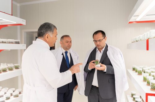 Kənd təsərrüfatı naziri Məcnun Məmmədov Azərbaycan Dövlət Aqrar Universitetinin kollektivi ilə görüşüb