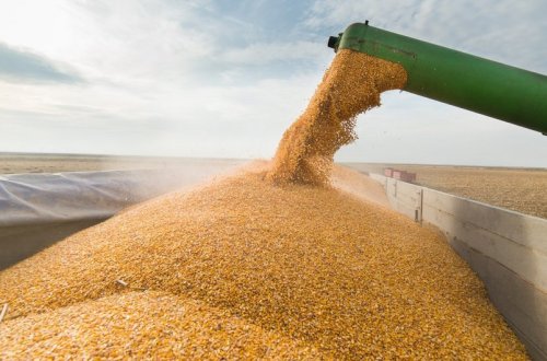 Türkiyə Prezidenti: 