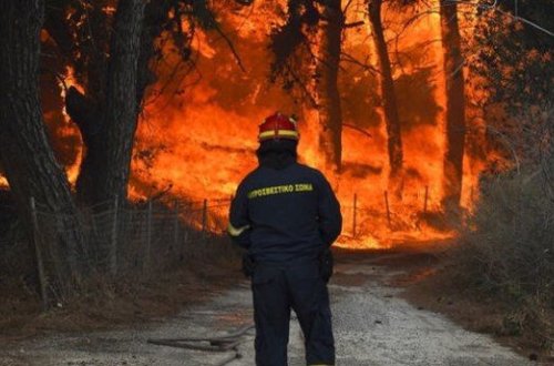 Yunanıstanda son 24 saatda 46 meşə yanğını baş verib