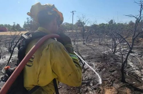 Kaliforniyada 4 fərqli yerdə meşə yanğını baş verib