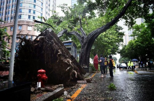 Çində “Talim” qasırğasına görə 230 mindən çox insan təxliyə edilib - VİDEO