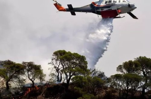 Yunanıstanda son 24 saatda 66 meşə yanğını baş verib