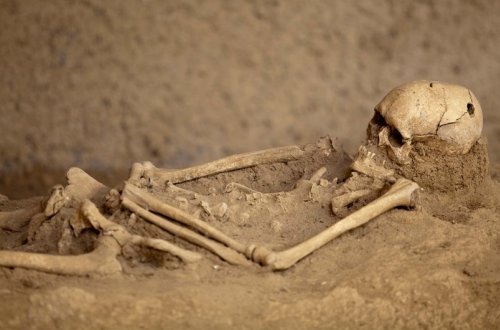 Bakıda insan skeletinin kəllə və sümükləri aşkarlanıb