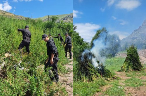 DİN və DTX Laçında birgə əməliyyat keçirdi