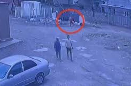 Bakıda anası tərəfindən zibil qutusuna atılan körpənin son vəziyyəti AÇIQLANDI - VİDEO