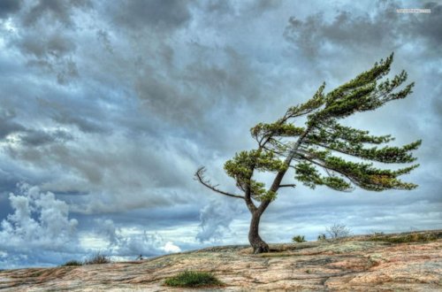 Hava şəraiti dəyişəcək, yağış yağacaq, güclü külək əsəcək - XƏBƏRDARLIQ