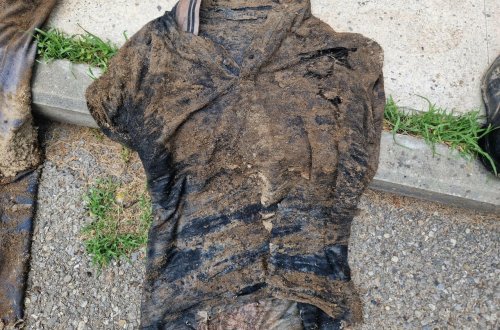 İsmayıllıda çürümüş meyit tapılıb - FOTO