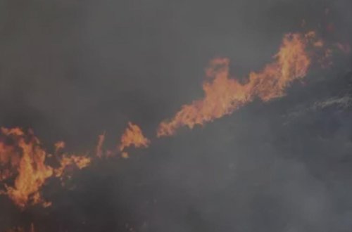 Əlcəzairdə meşə yanğınları nəticəsində ölənlərin sayı 34-ə çatıb