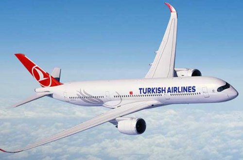 Sərnişin intihar etdi - Təyyarə təcili eniş etməli oldu