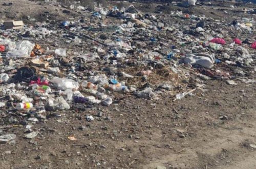 Samuxda 10-a yaxın şəxs cərimələndi - FOTO